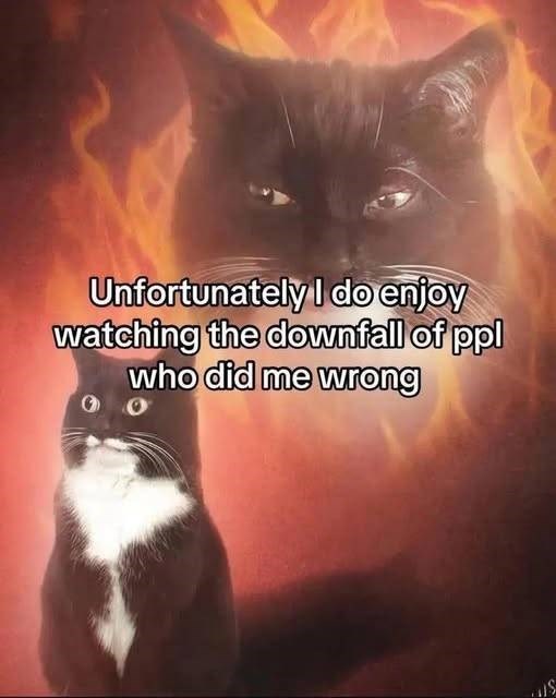 Unfortunately I do enjoy watching the downfall of ppl who did me wrong