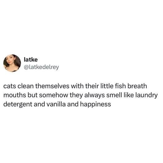 latke @latkedelrey cats clean themselves with their little fish breath mouths but somehow they always smell like laundry detergent and vanilla and happiness