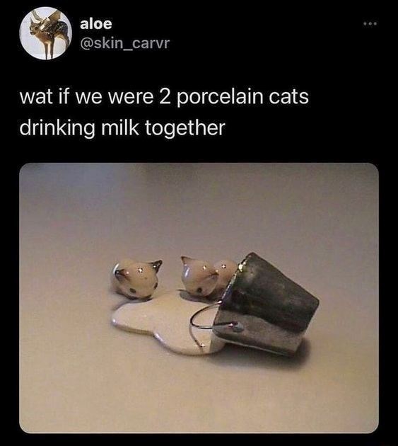 aloe @skin_carvr wat if we were 2 porcelain cats drinking milk together