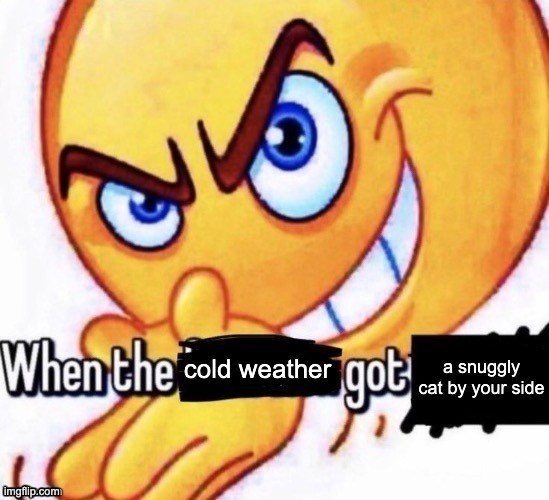 When the cold weather got a snuggly cat by your side imgflip.com