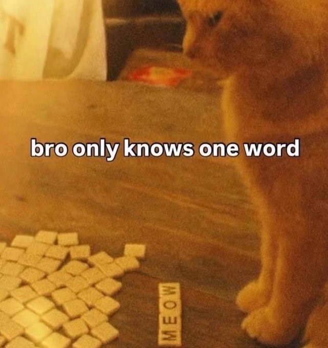 bro only knows one word MEOW