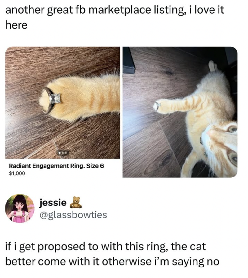 another great fb marketplace listing, i love it here Radiant Engagement Ring. Size 6 $1,000 jessie @glassbowties if i get proposed to with this ring, the cat better come with it otherwise i'm saying no