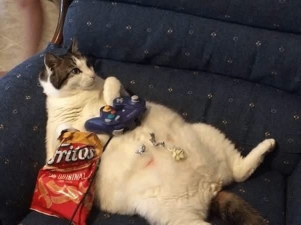 Fritos ORIGINAL