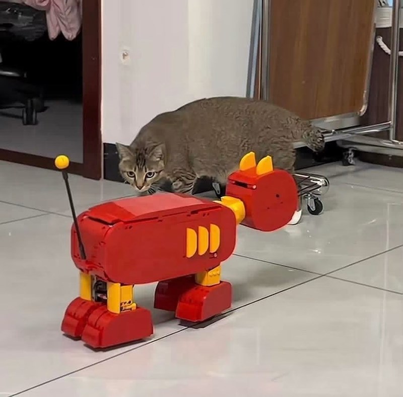 DDD