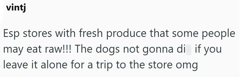 vintj Esp stores with fresh produce that some people may eat raw!!! The dogs not gonna di if you leave it alone for a trip to the store omg