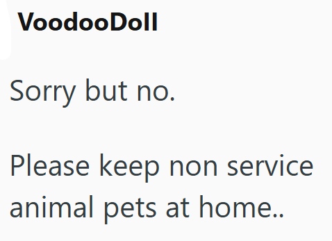 Voodoo Doll Sorry but no. Please keep non service animal pets at home..