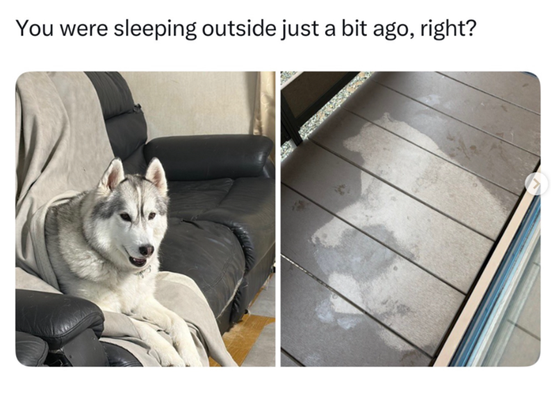 You were sleeping outside just a bit ago, right?