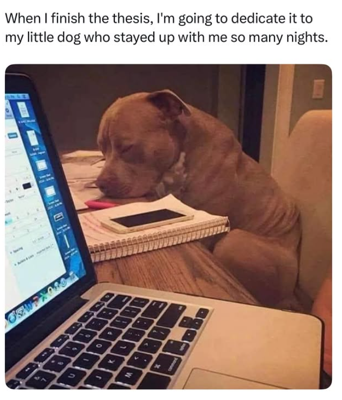GEW When I finish the thesis, I'm going to dedicate it to my little dog who stayed up with me so many nights. BR M BB