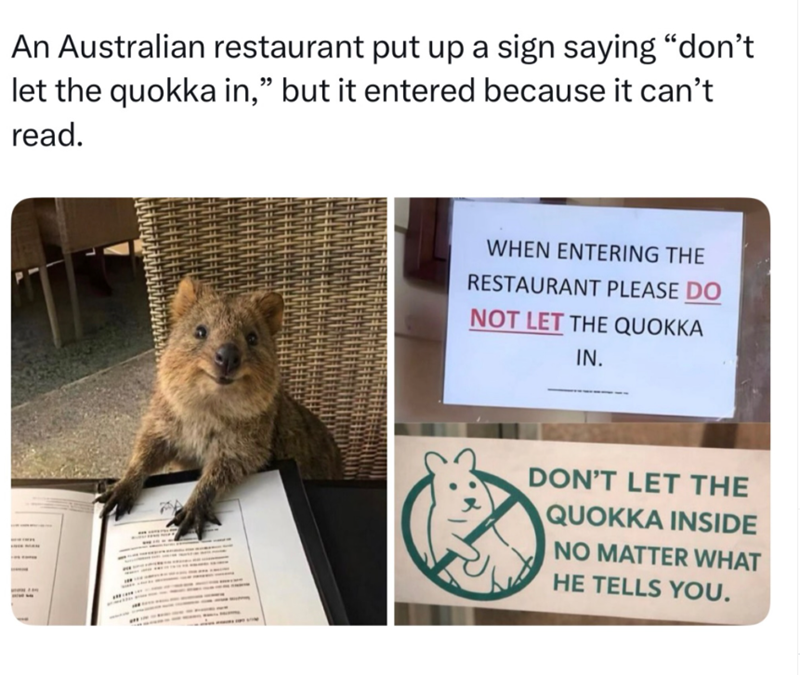 An Australian restaurant put up a sign saying "don't let the quokka in," but it entered because it can't read. WHEN ENTERING THE RESTAURANT PLEASE DO NOT LET THE QUOKKA IN. DON'T LET THE QUOKKA INSIDE NO MATTER WHAT HE TELLS YOU.