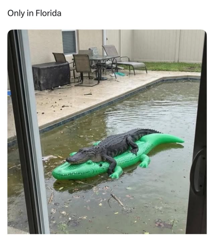 Only in Florida