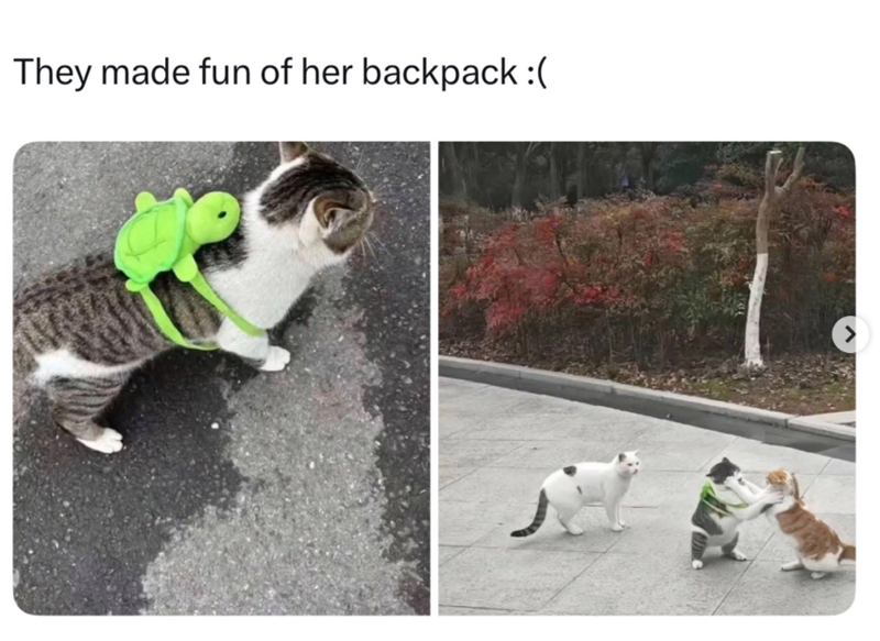 They made fun of her backpack :( >