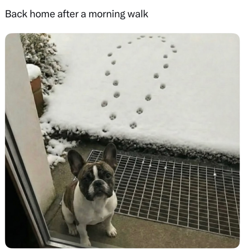 Back home after a morning walk
