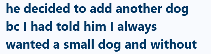 he decided to add another dog bc I had told him I always wanted a small dog and without