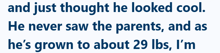 and just thought he looked cool. He never saw the parents, and as he's grown to about 29 lbs, I'm
