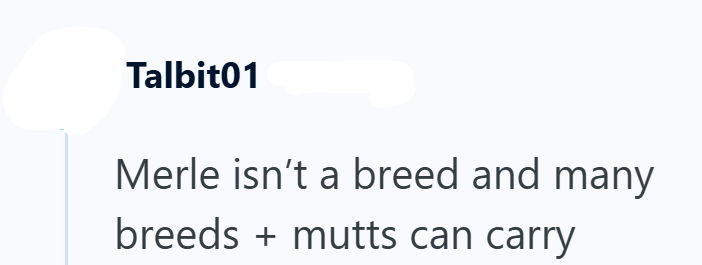 Talbit01 Merle isn't a breed and many breeds + mutts can carry