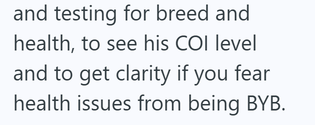 and testing for breed and health, to see his COI level and to get clarity if you fear health issues from being BYB.