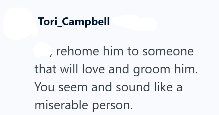 Tori_Campbell rehome him to someone that will love and groom him. You seem and sound like a miserable person.