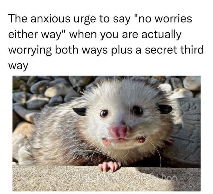 The anxious urge to say "no worries either way" when you are actually worrying both ways plus a secret third way Glady5096ssum