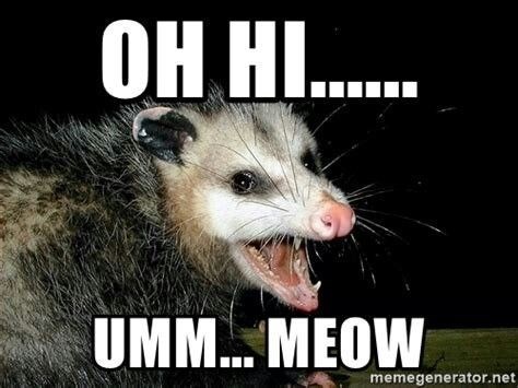 OH HI...... UMM... MEOW memegenerator.net
