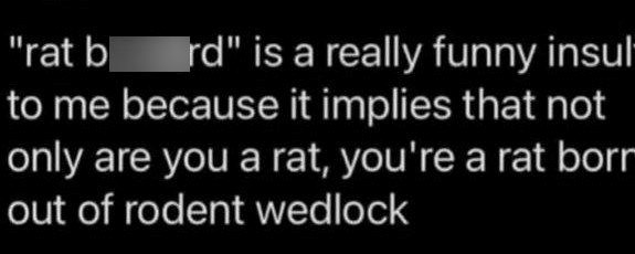 "rat b rd" is a really funny insult to me because it implies that not only are you a rat, you're a rat borr out of rodent wedlock