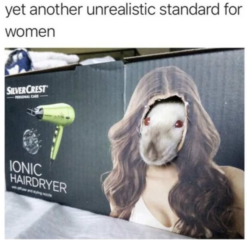 yet another unrealistic standard for women SILVERCREST PERSONAL CARE IONIC HAIRDRYER
