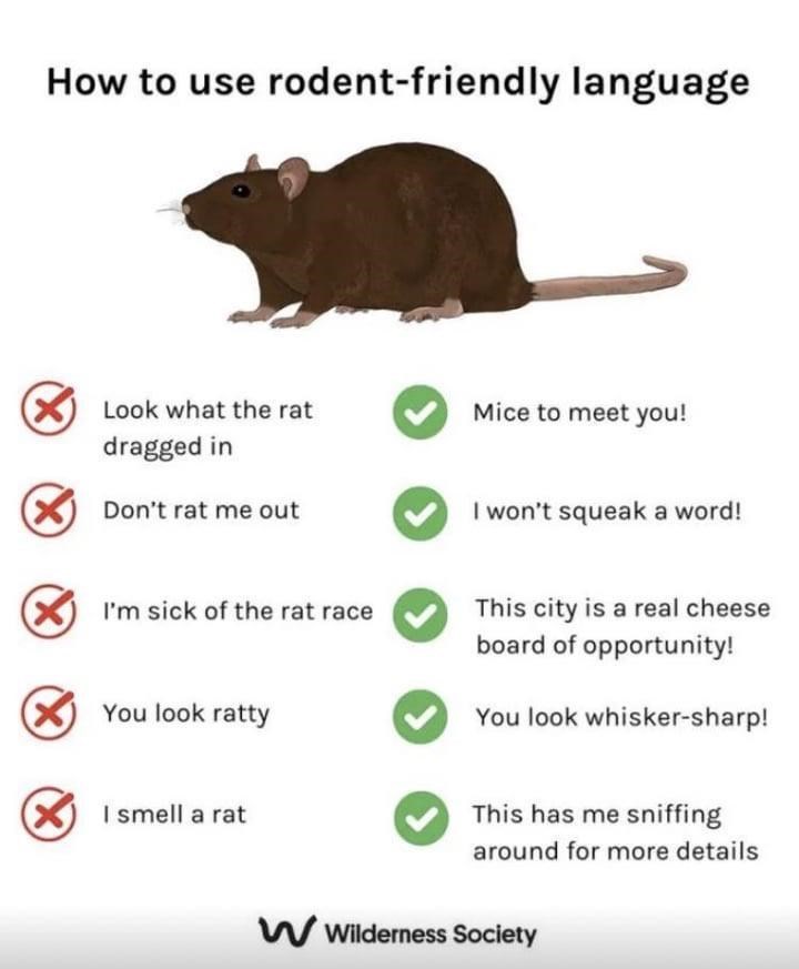 How to use rodent-friendly language ☑ Look what the rat dragged in ✓ Don't rat me out ☑ I'm sick of the rat race You look ratty Mice to meet you! I won't squeak a word! This city is a real cheese board of opportunity! You look whisker-sharp! This has me sniffing around for more details ✓ I smell a rat W Wilderness Society