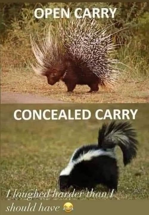 OPEN CARRY CONCEALED CARRY I laughed harder than I should have
