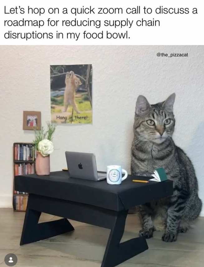 Let's hop on a quick zoom call to discuss a roadmap for reducing supply chain disruptions in my food bowl. Hang in there! @the_pizzacat