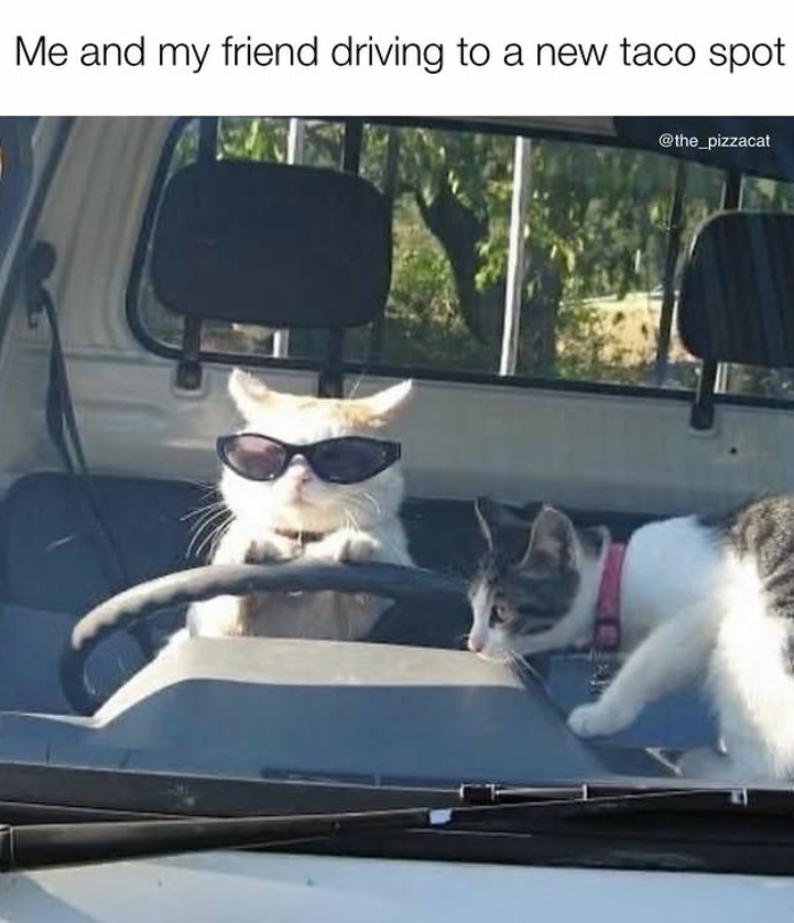 Me and my friend driving to a new taco spot @the_pizzacat