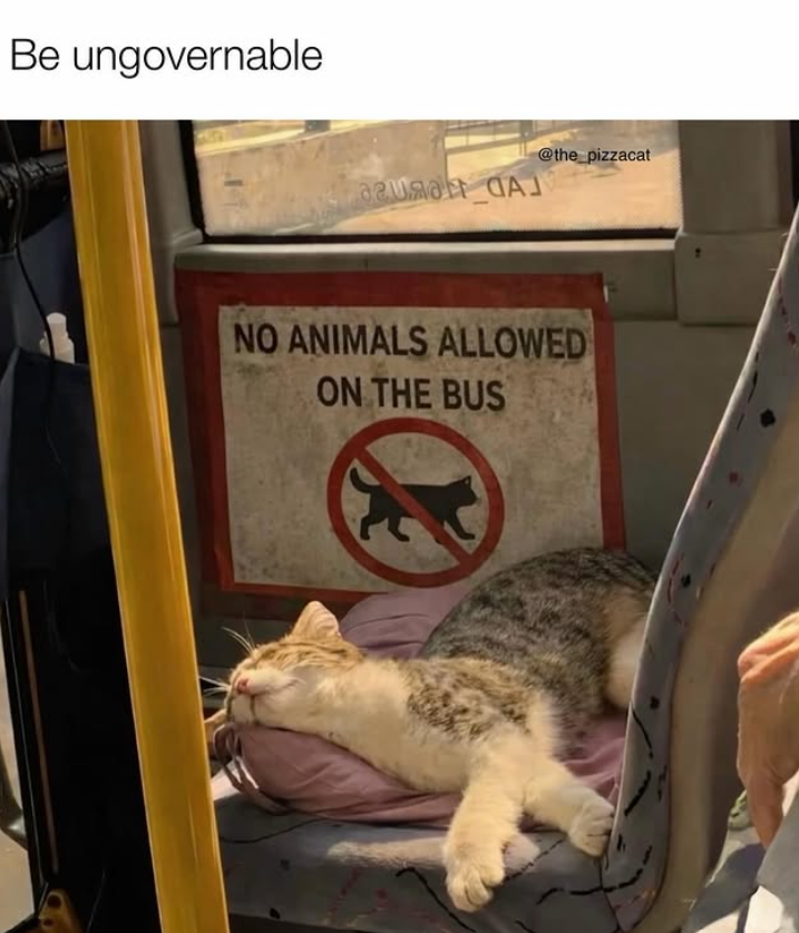 Be ungovernable azuma CAL @the_pizzacat NO ANIMALS ALLOWED ON THE BUS