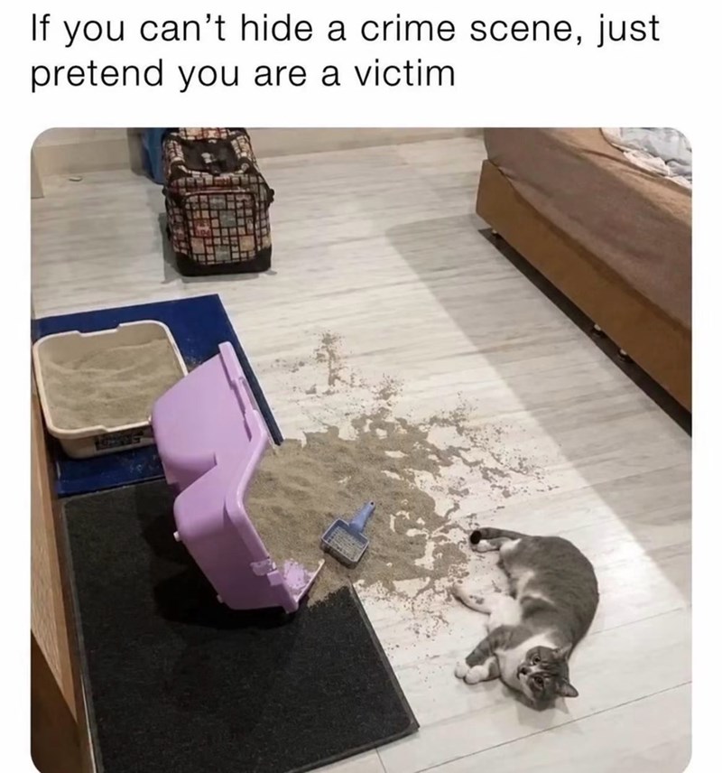 If you can't hide a crime scene, just pretend you are a victim.