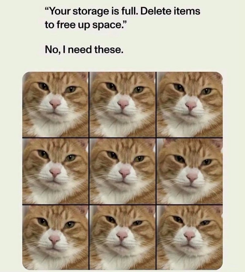 "Your storage is full. Delete items to free up space." No, I need these.