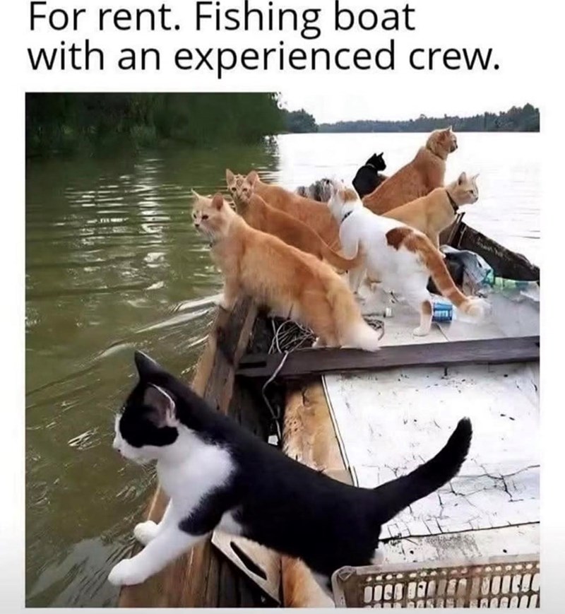 For rent. Fishing boat with an experienced crew. Jers