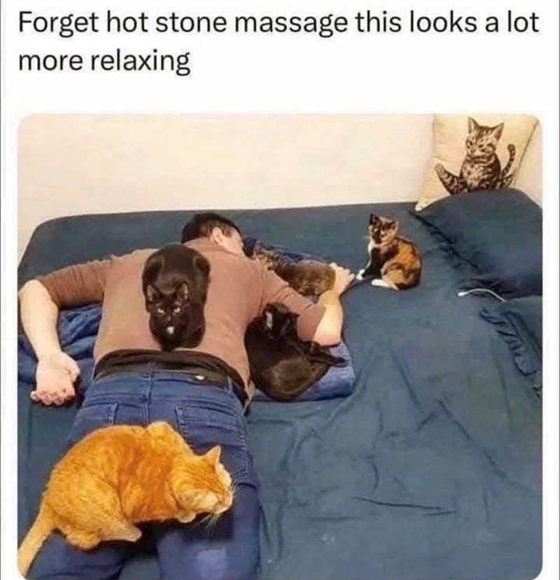 Forget hot stone massage this looks a lot more relaxing
