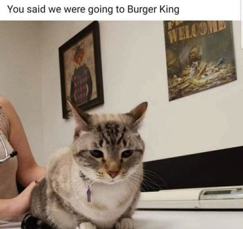You said we were going to Burger King WELCOME