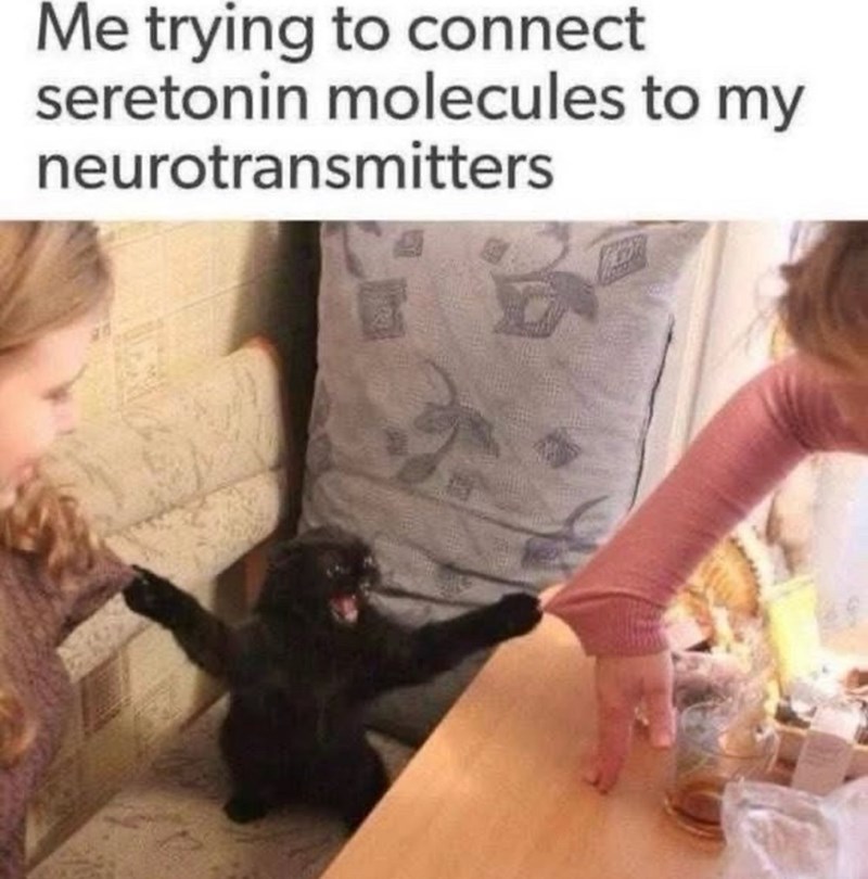Me trying to connect seretonin molecules to my neurotransmitters