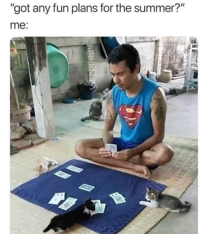 "got any fun plans for the summer?" me: