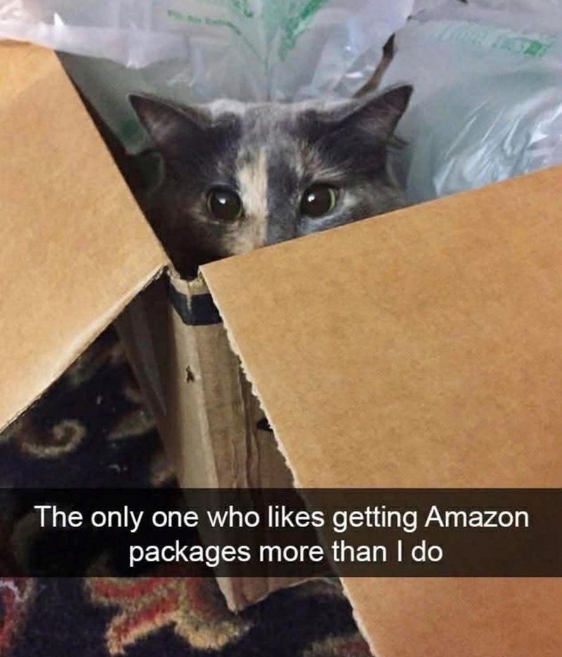 The only one who likes getting Amazon packages more than I do