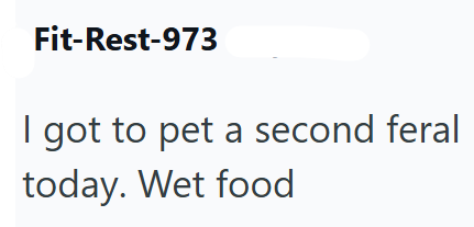 Fit-Rest-973 I got to pet a second feral today. Wet food