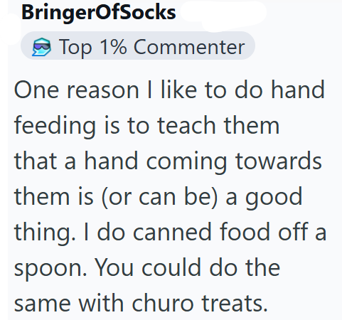 BringerOfSocks Top 1% Commenter One reason I like to do hand feeding is to teach them that a hand coming towards them is (or can be) a good thing. I do canned food off a spoon. You could do the same with churo treats.