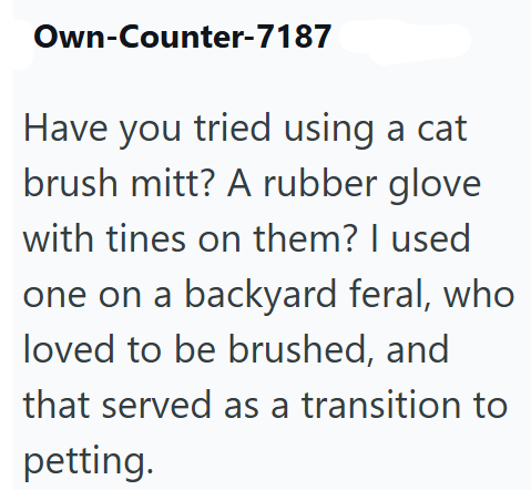 Own-Counter-7187 Have you tried using a cat brush mitt? A rubber glove with tines on them? I used one on a backyard feral, who loved to be brushed, and that served as a transition to petting.