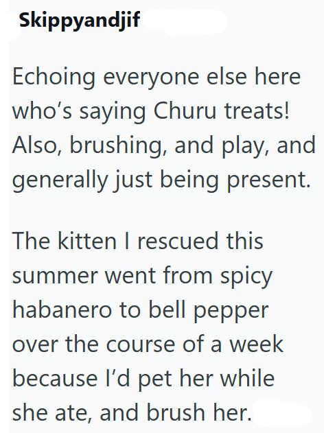 Skippyandjif Echoing everyone else here who's saying Churu treats! Also, brushing, and play, and generally just being present. The kitten I rescued this summer went from spicy habanero to bell pepper over the course of a week because I'd pet her while she ate, and brush her.