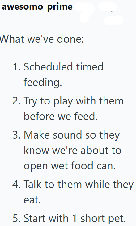 awesomo_prime What we've done: 1. Scheduled timed feeding. 2. Try to play with them before we feed. 3. Make sound so they know we're about to open wet food can. 4. Talk to them while they eat. 5. Start with 1 short pet.