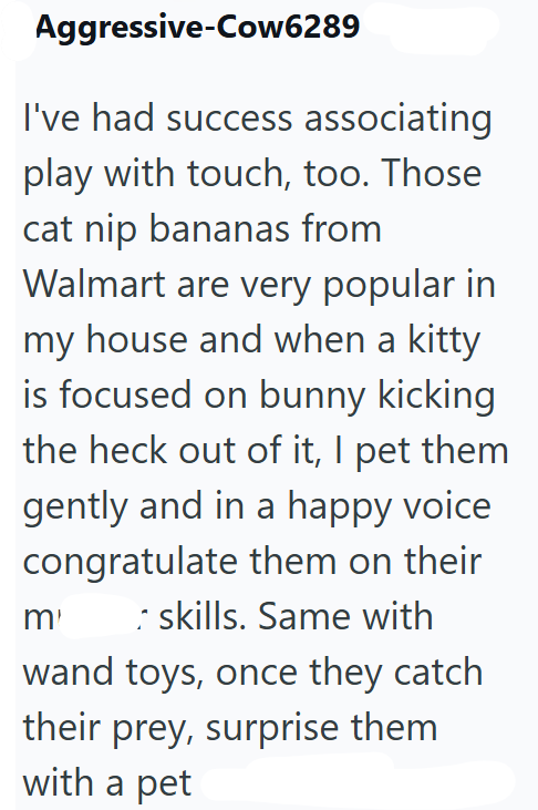Aggressive-Cow6289 I've had success associating play with touch, too. Those cat nip bananas from Walmart are very popular in my house and when a kitty is focused on bunny kicking the heck out of it, I pet them gently and in a happy voice. congratulate them on their m' skills. Same with wand toys, once they catch their prey, surprise them with a pet