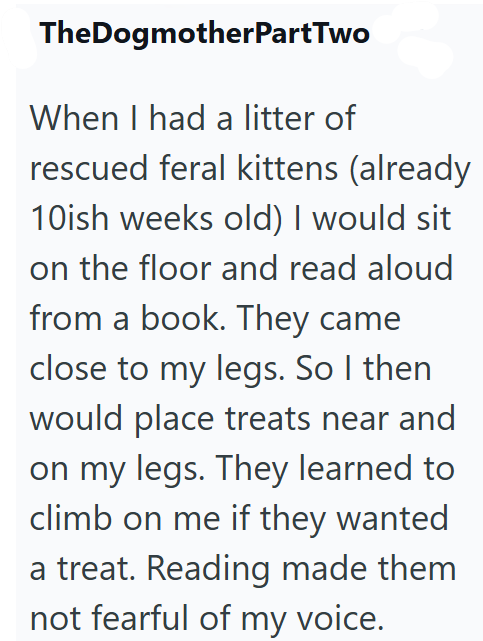 TheDogmotherPart Two When I had a litter of rescued feral kittens (already 10ish weeks old) I would sit on the floor and read aloud from a book. They came close to my legs. So I then would place treats near and on my legs. They learned to climb on me if they wanted a treat. Reading made them not fearful of my voice.