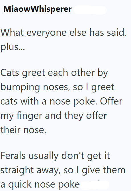 MiaowWhisperer What everyone else has said, plus... Cats greet each other by bumping noses, so I greet cats with a nose poke. Offer my finger and they offer their nose. Ferals usually don't get it straight away, so I give them a quick nose poke