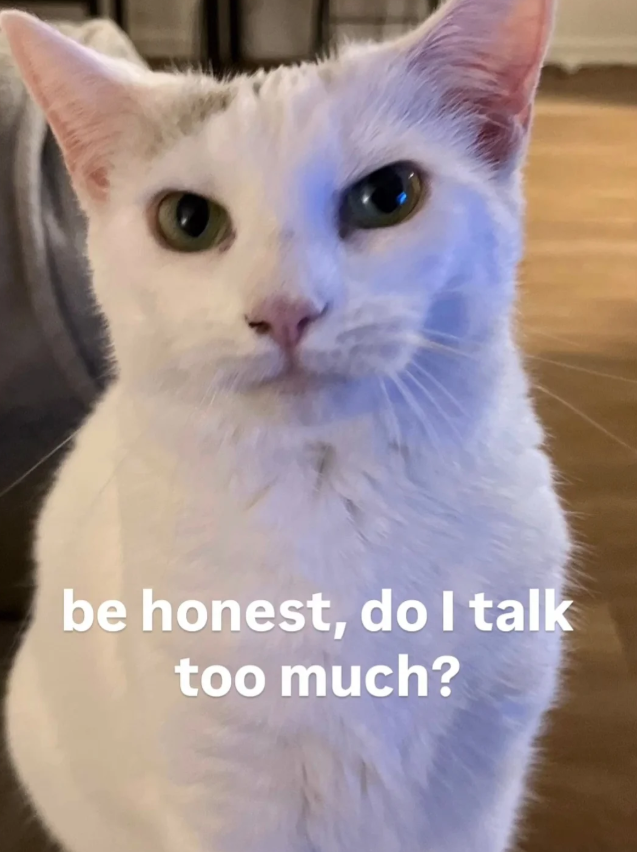 be honest, do I talk too much?
