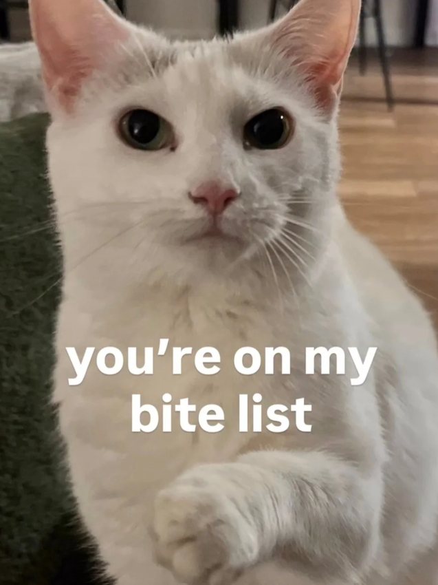 you're on my bite list