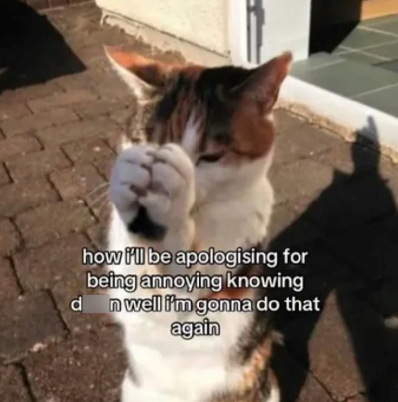 how i'll be apologising for being annoying knowing d n well i'm gonna do that again