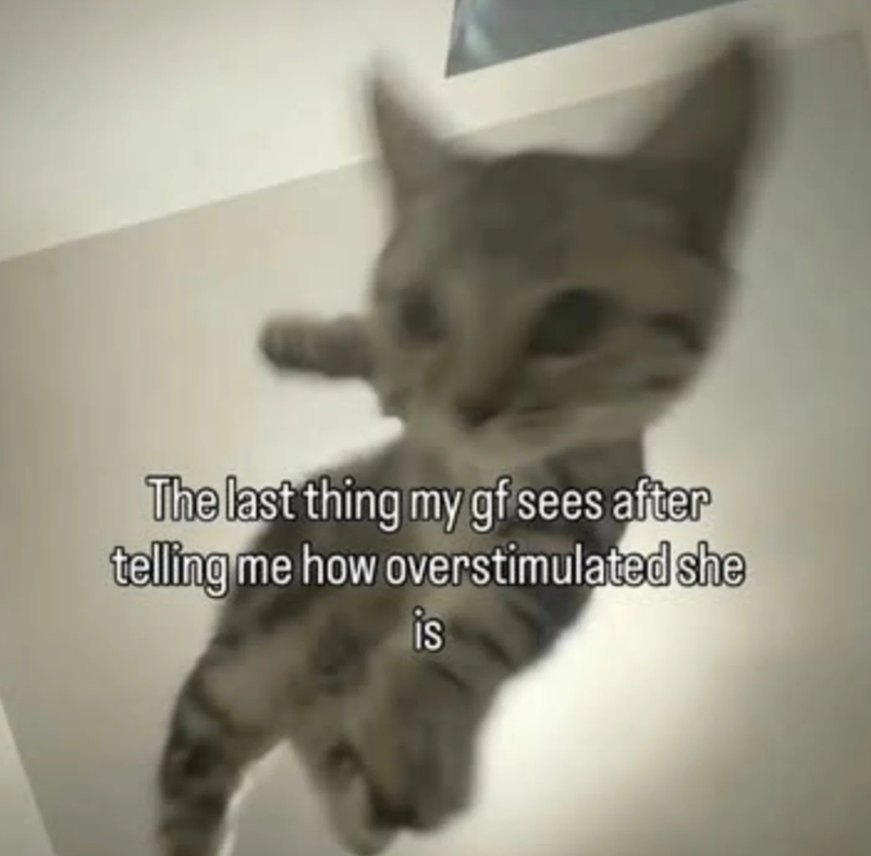 The last thing my gf sees after telling me how overstimulated she is